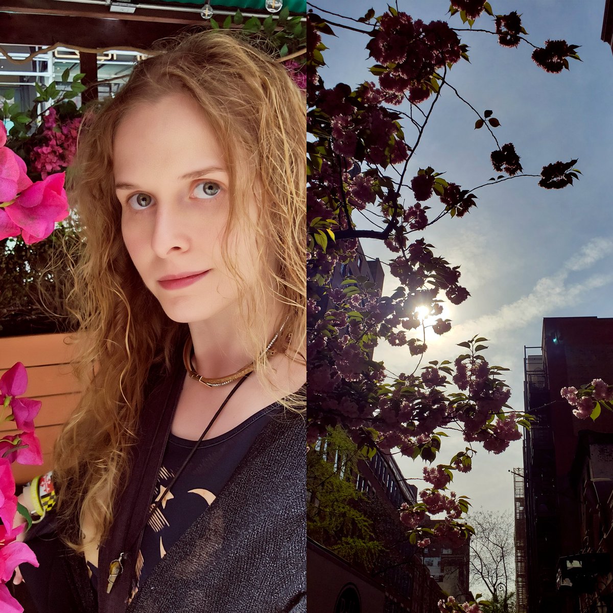 NatalieAPalumbo's tweet image. 1 Year Anniversary at @Teads in Manhattan. I&apos;m grateful. 💙

#newyorknewyork #manhattan #motiongraphicsdesigner