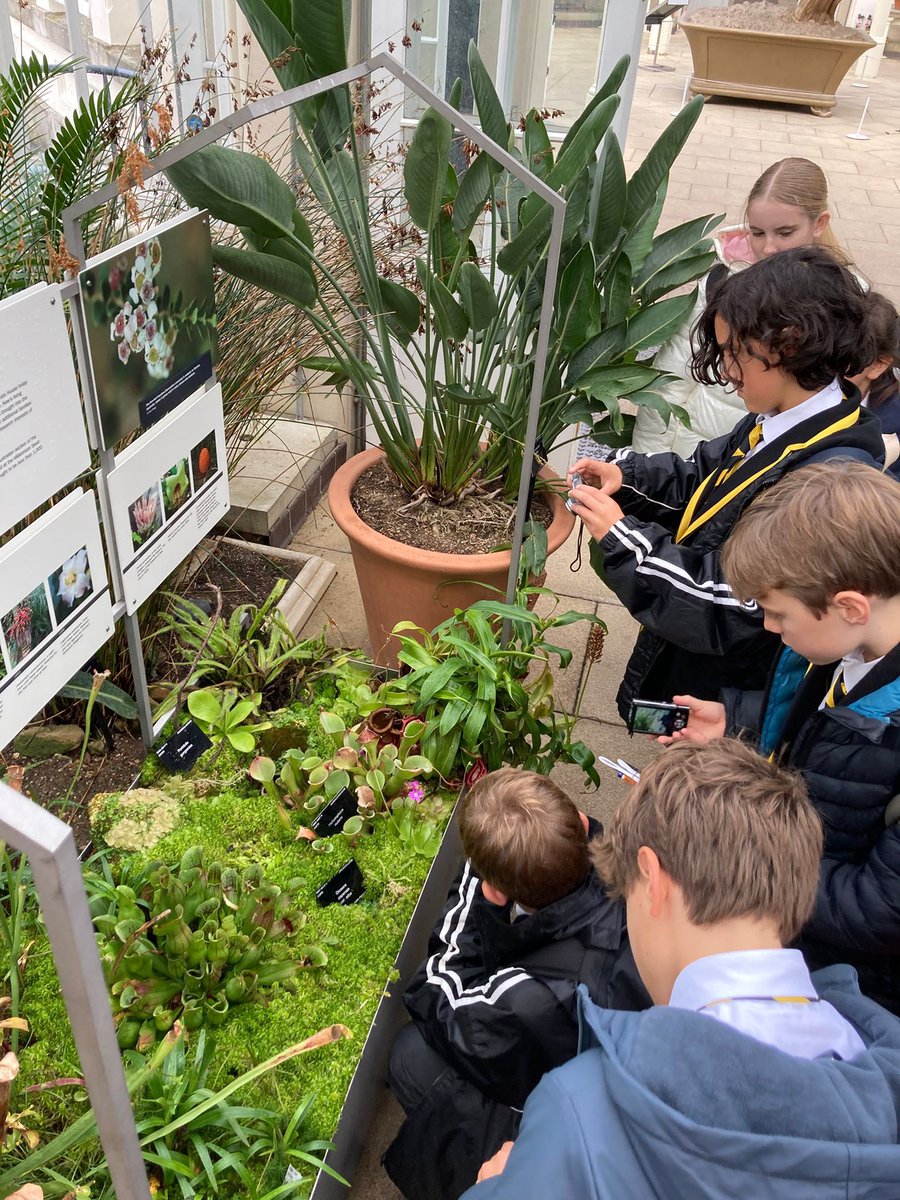 oratoryschool's tweet photo. 1st Form #OratoryArt &amp; #OratoryScience students enjoyed an exhilarating visit to @kewgardens where they delved into the #art and #science of nature in an action-packed day! Read more: https://t.co/XUtPf3qe9C
#OratoryCuriosity #OratoryAcademic @oratoryscience https://t.co/Sh8uBD6Rkf