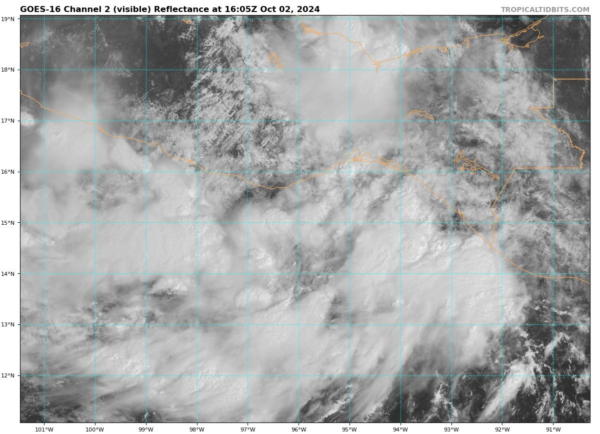 hurricane_chase's tweet image. Tropical Depression #11E isn't doing too well but still is expected to dump over 12 Inches of rain in some spots of #Mexico. Next Name = #Kristy 

#wx #wxtwitter #tropicswx #hurricane