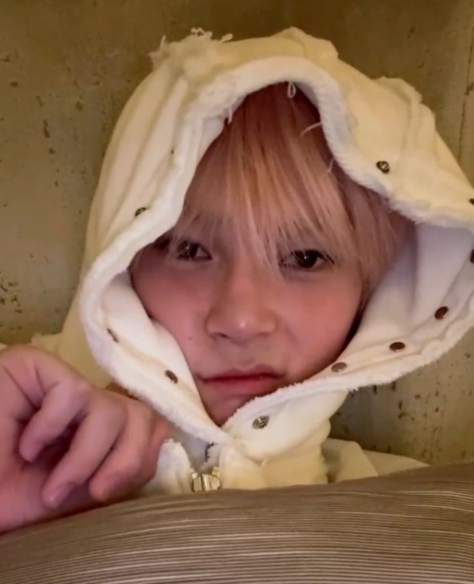 sunghaobin's tweet photo. haobin bare faced on live… they’re so cute https://t.co/1XV9bwCqG7