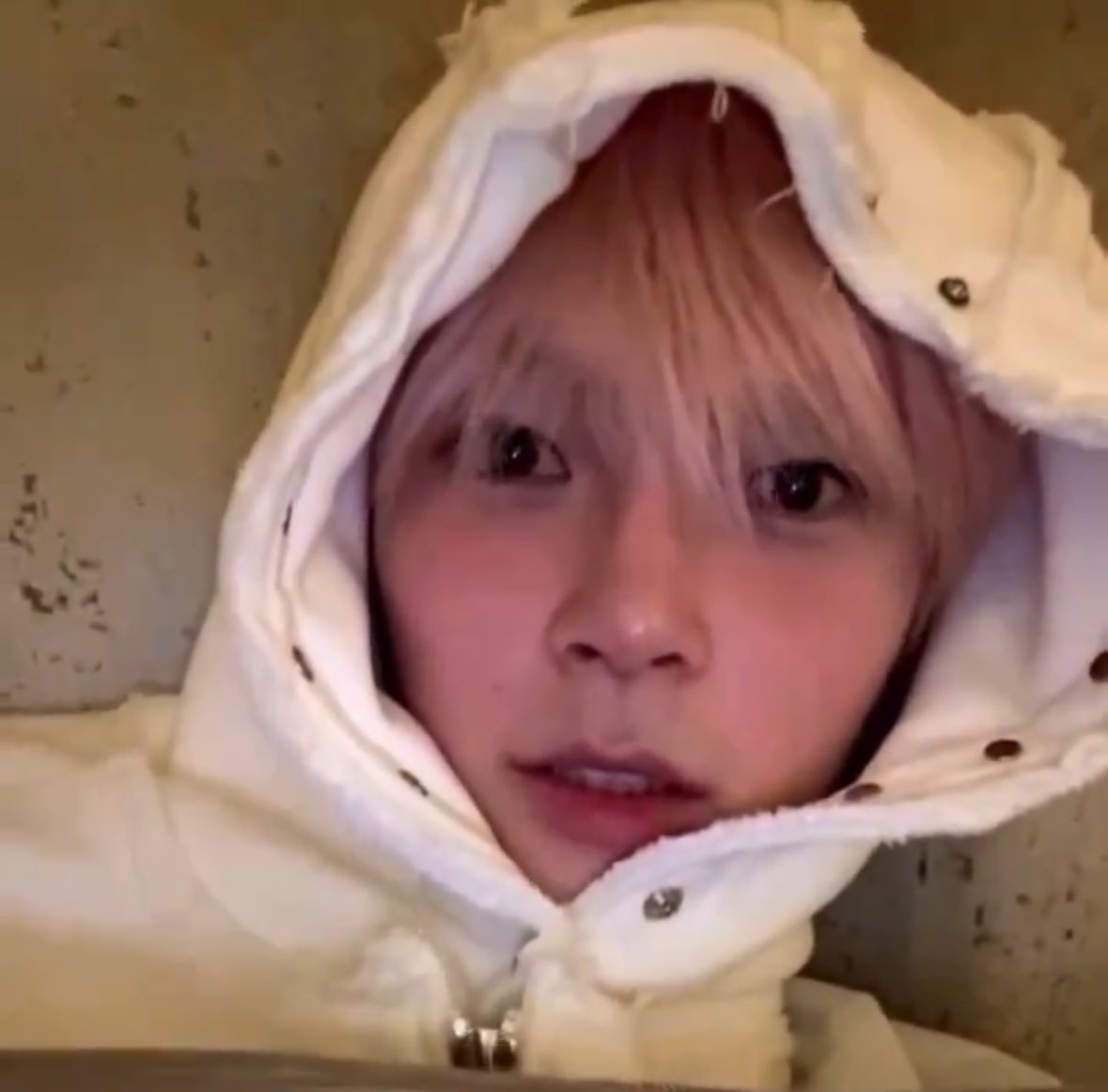 sunghaobin's tweet photo. haobin bare faced on live… they’re so cute https://t.co/1XV9bwCqG7