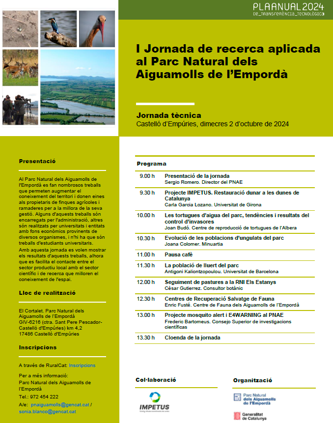 minuartia tweet media