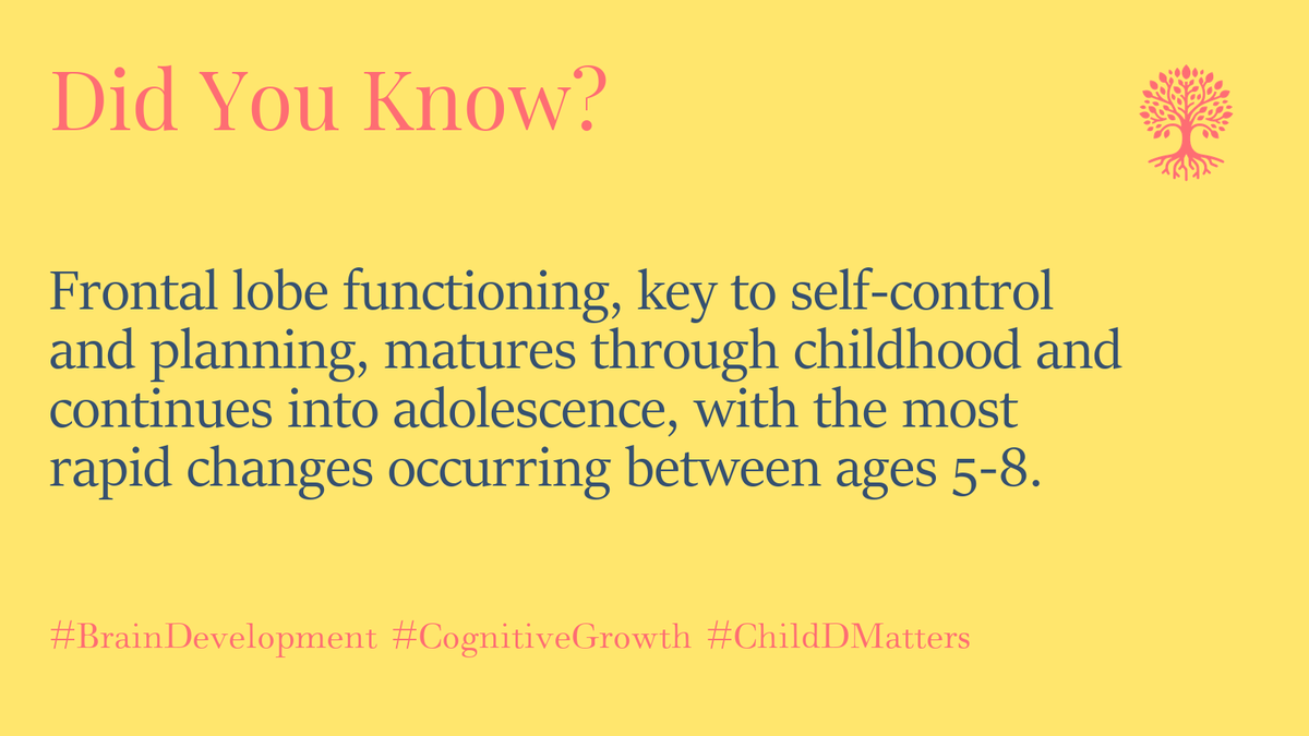 ChildDMatters's tweet image. Frontal lobe functioning, key to self-control and planning, matures through childhood and continues into adolescence, with the most rapid changes occurring between ages 5-8. #BrainDevelopment #CognitiveGrowth #ChildDMatters 1/5