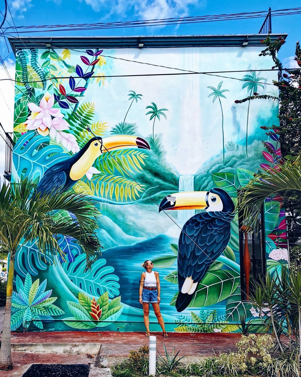 Los murales de #Bacalar son un reflejo de los colores de la selva ilimitada y la fauna multifacética de la #GrandCostaMaya. 🦜

Una prueba más de que este paraíso inspira tanto a artistas como a viajeros.

IG: wanderhain 
⁣⁣
#CaribeMexicano #TheSignatureParadise