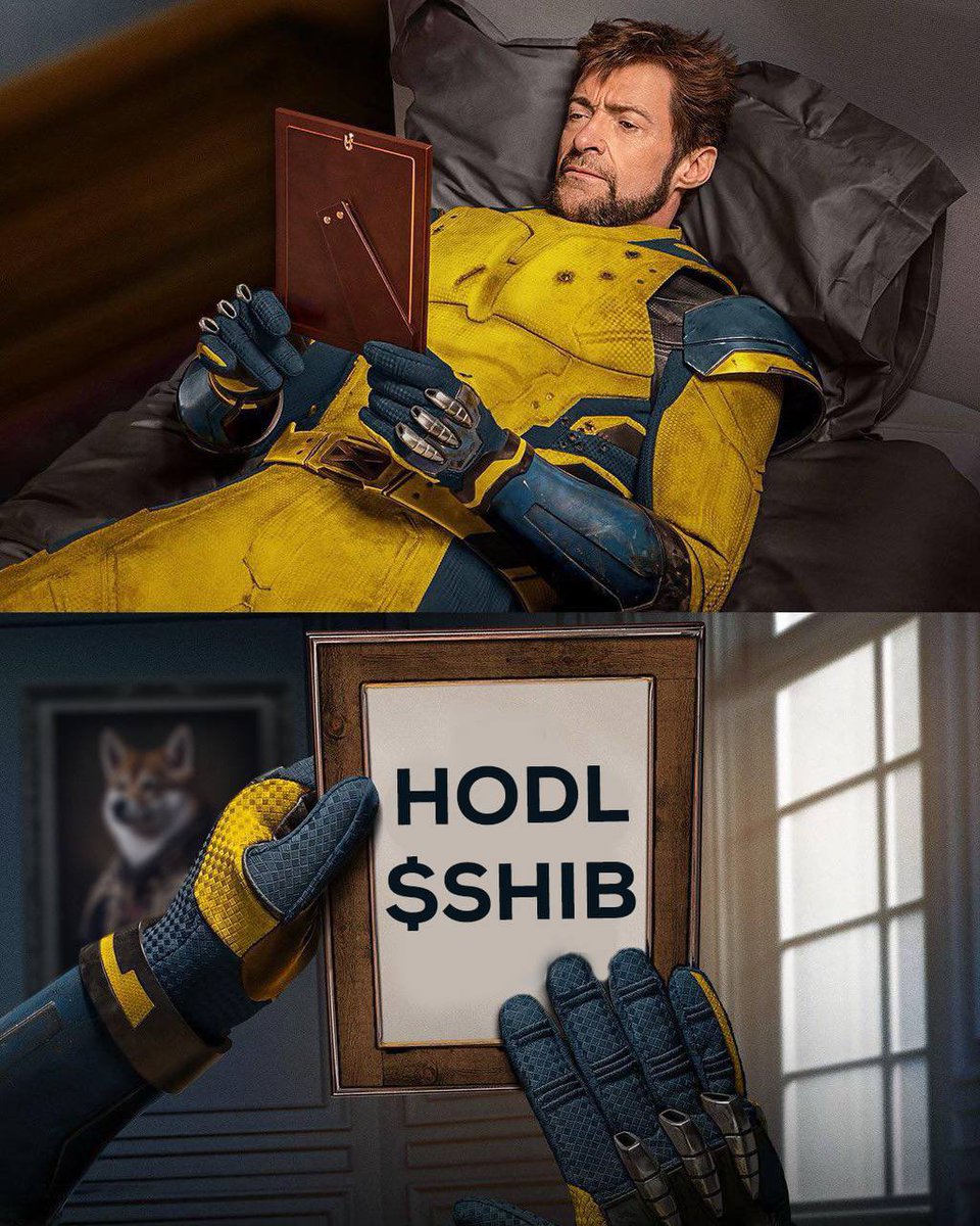 Shib tweet media