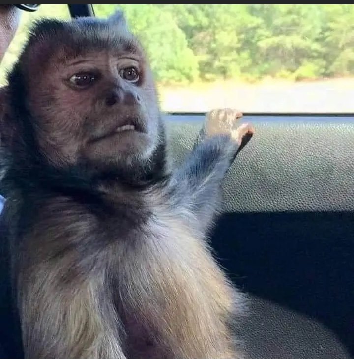 That moment when you're watching minibus conductor receive money from people who're saying they have K5000 for Blantyre to Zalewa but you have K2500 for Blantyre to Chingeni and you boarded without negotiating💔🤣