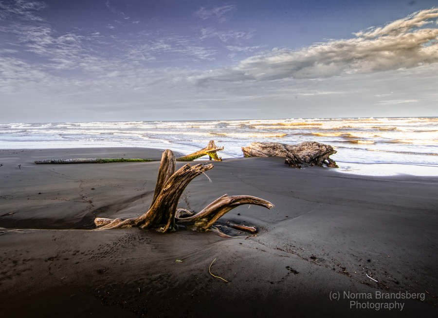 Best black sand beach prints and more:

pictorem.com/2092996/Cahuit…

FREE SHIPPING/US/CANADA Sale now!

pixels.com/featured/cahui…

#carribean #blacksand #beach #nature #costarica #driftwood #photography #fineartphotography #BuyIntoArt   #normabrandsberg #elegantfinephotography