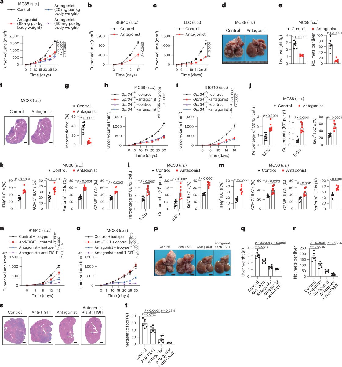 Waggoner Lab (@labwaggoner) on Twitter photo GPR34 is a metabolic immune checkpoint that can be targeted to enhance ILC1-based immunotherapies <a href="/NatImmunol/">Nature Immunology</a>
nature.com/articles/s4159… GPR34 is a metabolic immune checkpoint that can be targeted to enhance ILC1-based immunotherapies <a href="/NatImmunol/">Nature Immunology</a>
nature.com/articles/s4159…