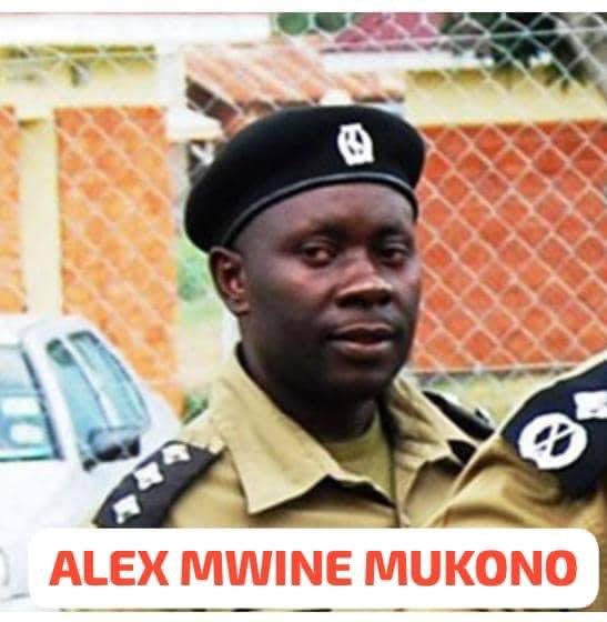 BOBI WINE tweet media