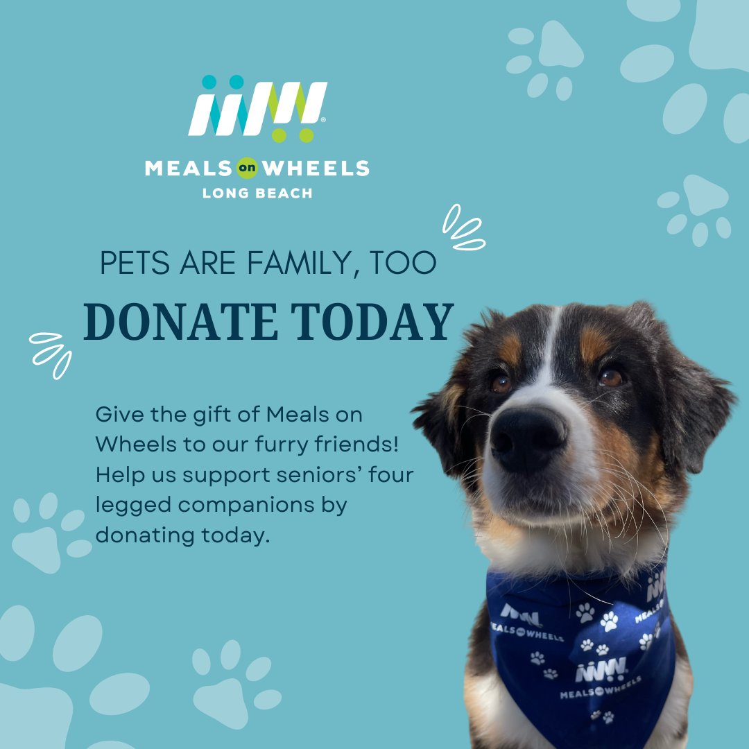 Please help us support seniors' companions by donating today. Your contribution ensures that their beloved pets receive the nutritious meals they need.

Donate now and make a difference: mowlb.org

 #FurryFriends #DonateToday #PetAreFamilyToo #MakeaDifference