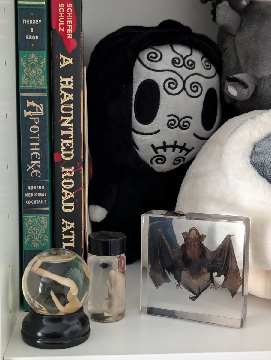 gabsmashh tweet media