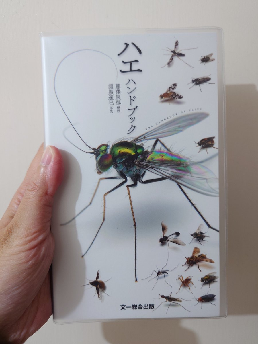 Ann "Sparrow" To tweet media