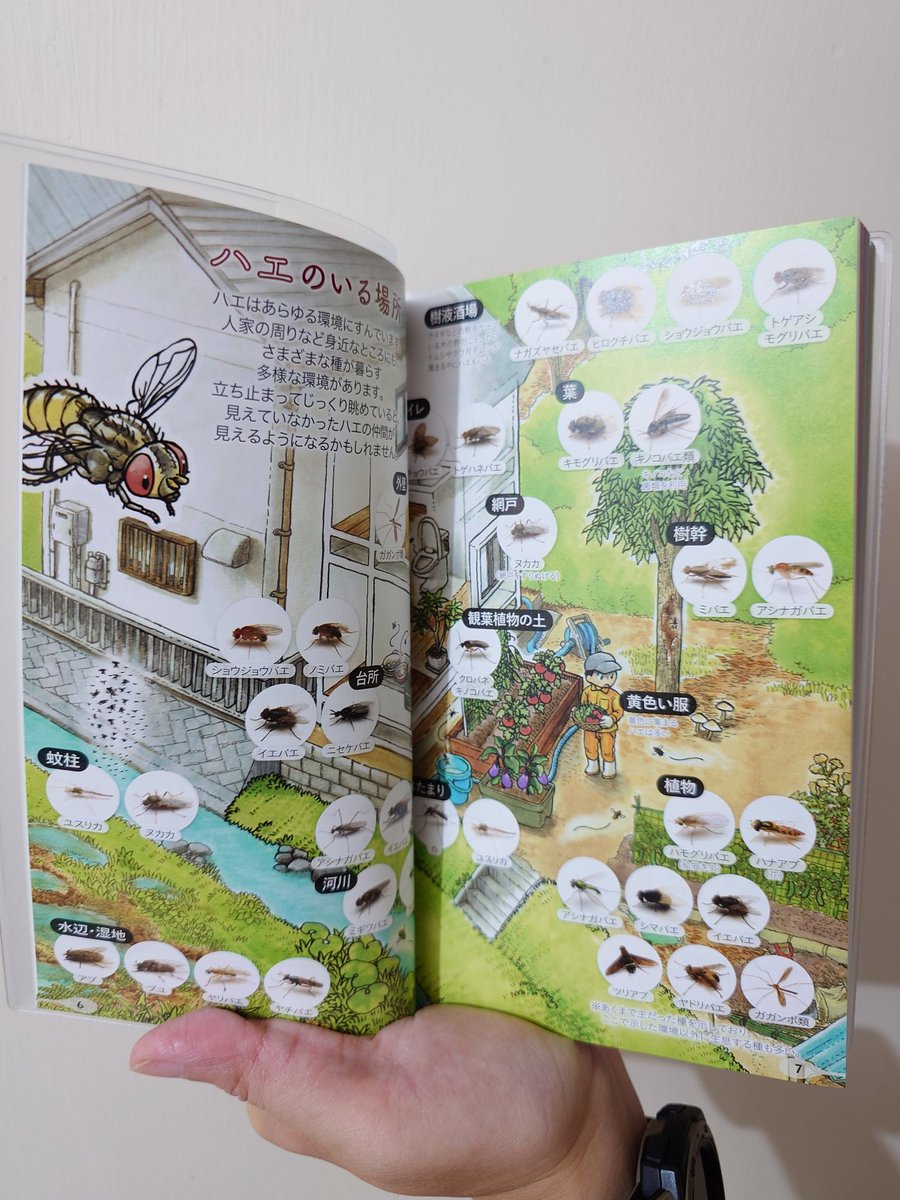 Ann "Sparrow" To tweet media