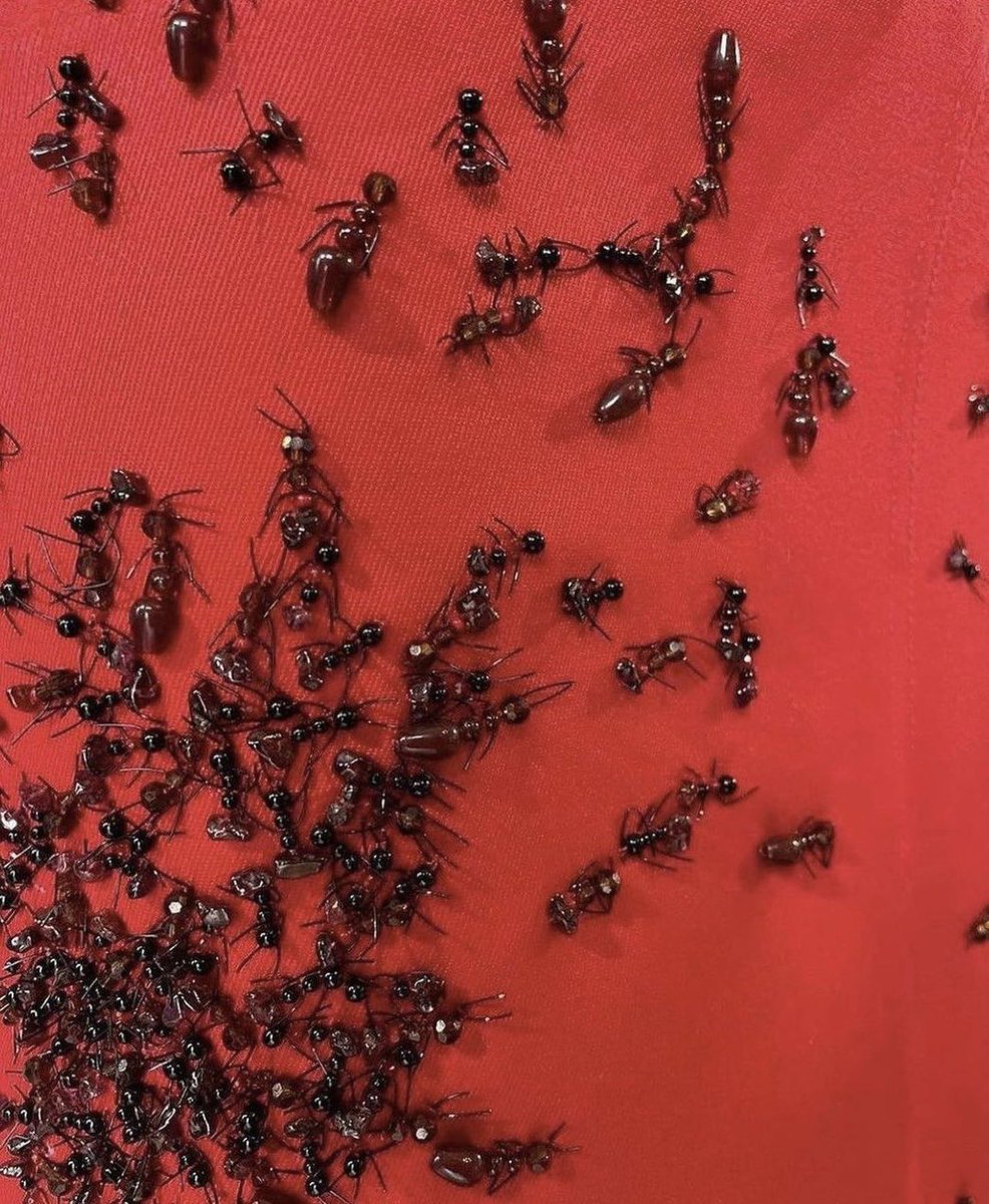 There will be signs when #TheResistants draweth nigh.