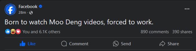 Even FB is talking 👀 $MOODENG on 
<a href="/base/">Base</a>

. We are the only legit Moodeng on the base chain. 

Be prepared for what’s ahead! Our adorable baby hippo is ready to make the base chain proud 🦛

0xf7211939e3015c70f645d302f894cfc276146098