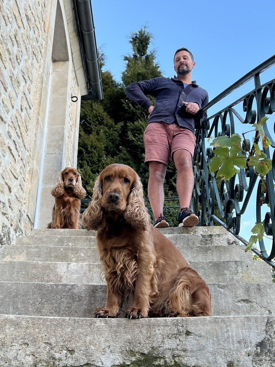 🐶🐶🙆🏻‍♂️