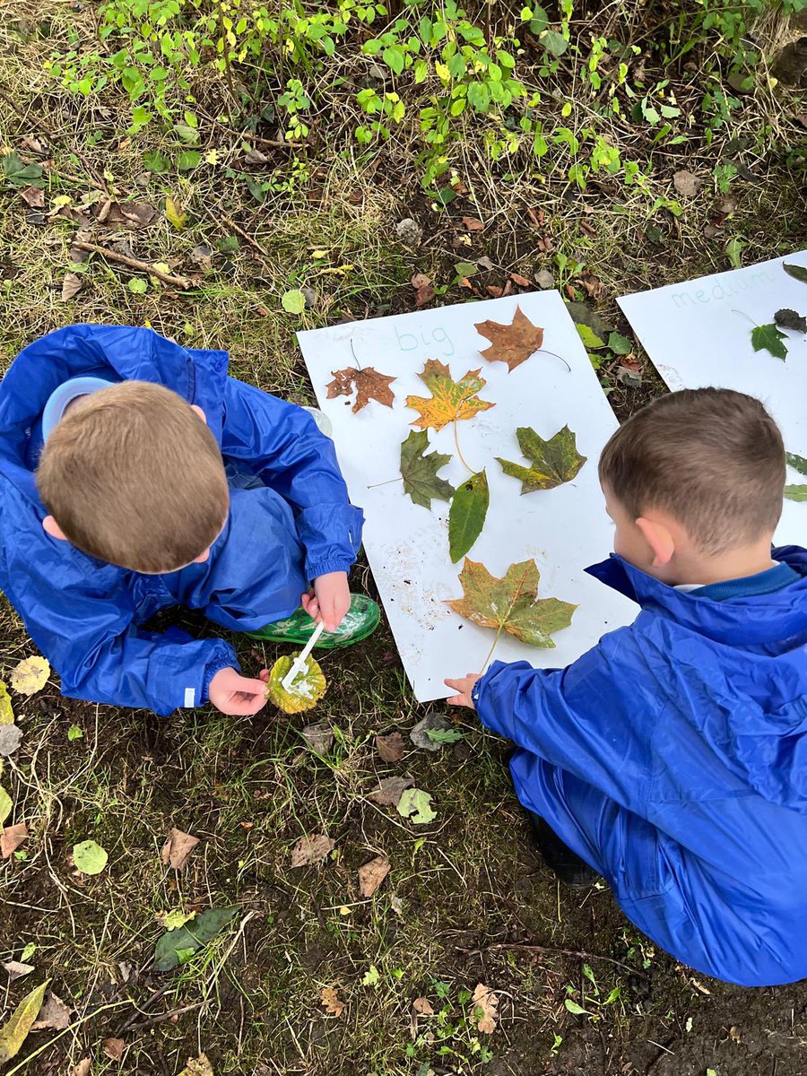 Ysgol Derwenfa (@ysgolderwenfa) on Twitter photo Welly Wednesday - Reception 🍂
This afternoon we went on a leaf hunt and arranged them by size - da iawn pawb! 🌟
<a href="/_OLW_/">DysguAwyrAgoredCymru/OutdoorLearningWales</a> <a href="/WG_Education/">Welsh Government Education</a>
#healthyandconfident #ambitiousandcapable Welly Wednesday - Reception 🍂
This afternoon we went on a leaf hunt and arranged them by size - da iawn pawb! 🌟
<a href="/_OLW_/">DysguAwyrAgoredCymru/OutdoorLearningWales</a> <a href="/WG_Education/">Welsh Government Education</a>
#healthyandconfident #ambitiousandcapable