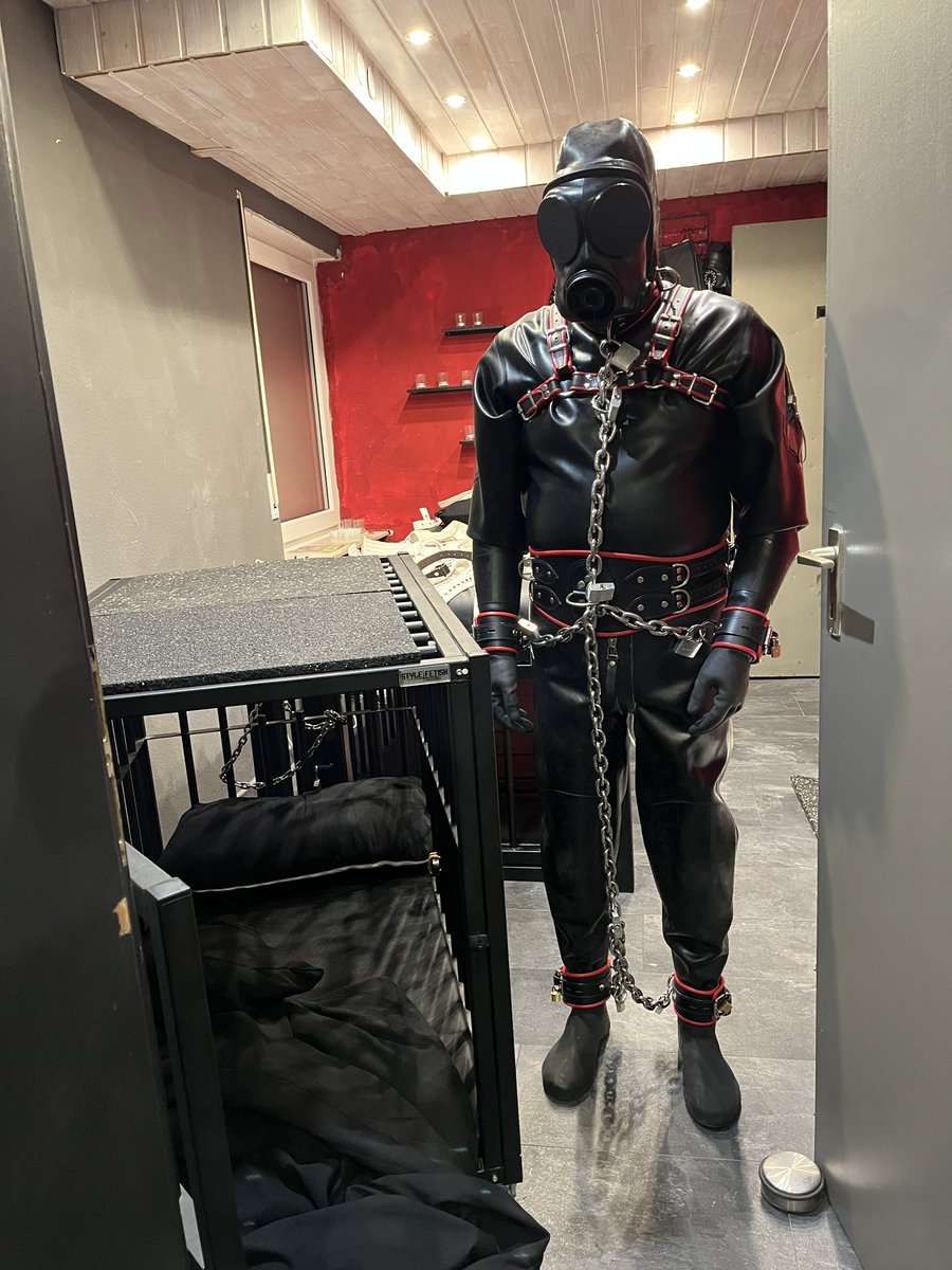 I’ve got <a href="/yohan555/">yohan555</a> ready for his overnight caging