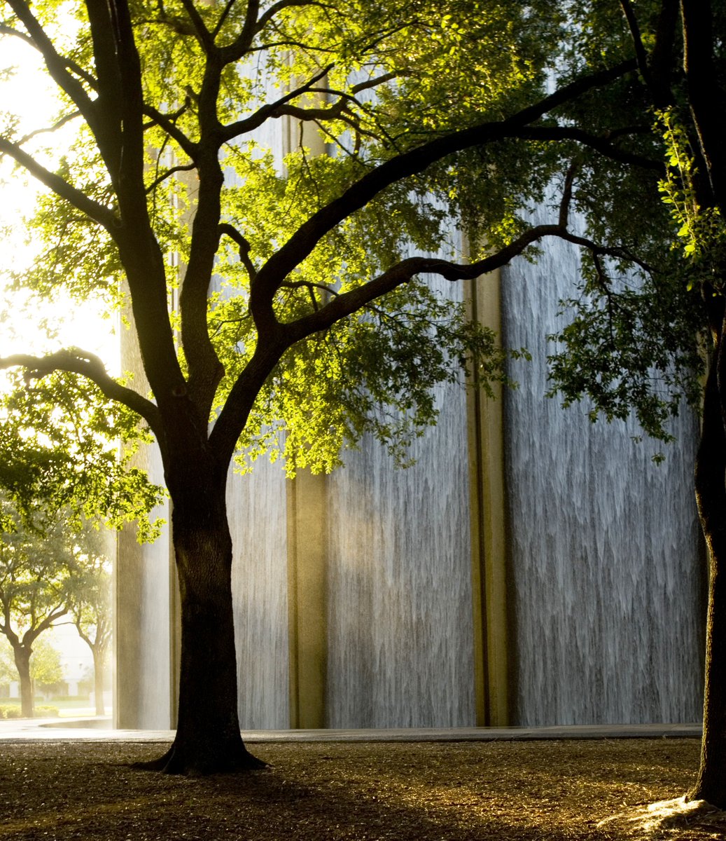 Heads up, Houston! The south side of our beloved Waterwall is getting some TLC and is closed until October 13 for exterior waterproofing. Additionally, the north side is down until January 2025 for water pump repairs. Thanks for your patience and plan your visits accordingly!