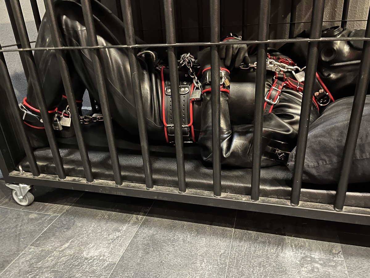 All locked away. It’s going to be a long night for <a href="/yohan555/">yohan555</a>