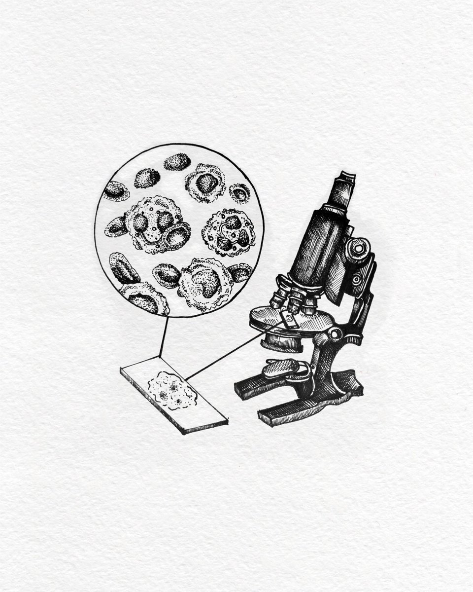 Participating in an art challenge called #Inktober and the day 2 prompt was “DISCOVER”
I thought doing something pathology related was quite fitting🔬🩸

#PathArt 
#PathX 
#MedArt
