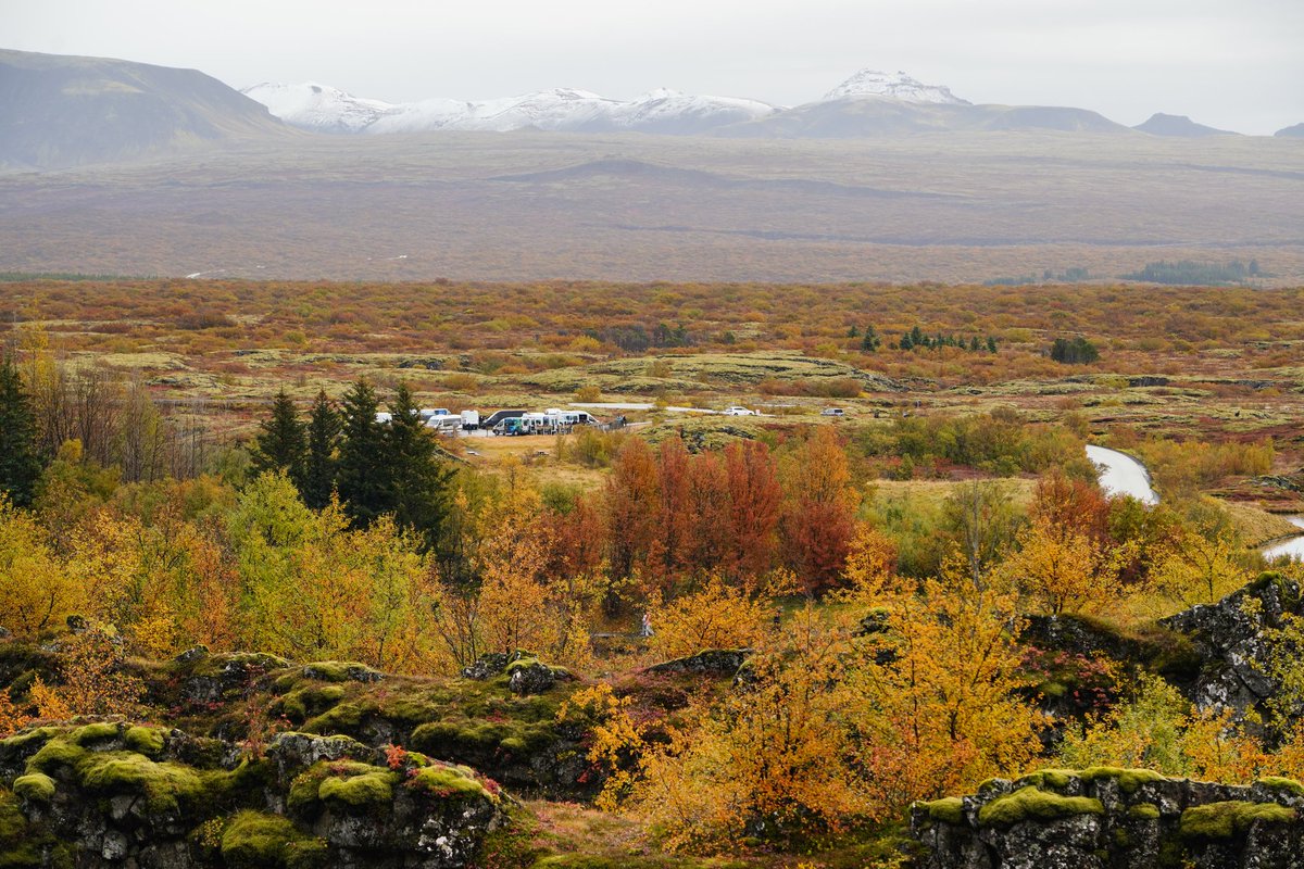 FazelDara's tweet image. Colorfull #fallfoliage at #gullfosswaterfall , #thingvellirnational  park, city of #Reykjavik,  #Iceland last weekend. @StormHour #ThePhotoHour @usatodaytravel @yourtake #fallseason #travelphotography #travel
