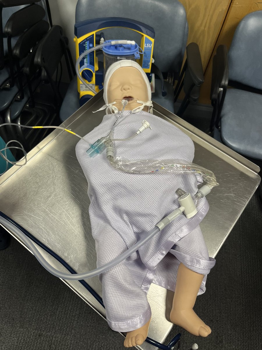 Milly Munn (@munnmilly) on Twitter photo It’s Airway Clearance Awareness Week on the neonatal unit 🫁 The physios are educating/ refreshing knowledge on optimising airway clearance for our babies with case studies, SIM, practical stations and prizes! <a href="/EvelinaLondon/">Evelina London</a> It’s Airway Clearance Awareness Week on the neonatal unit 🫁 The physios are educating/ refreshing knowledge on optimising airway clearance for our babies with case studies, SIM, practical stations and prizes! <a href="/EvelinaLondon/">Evelina London</a>