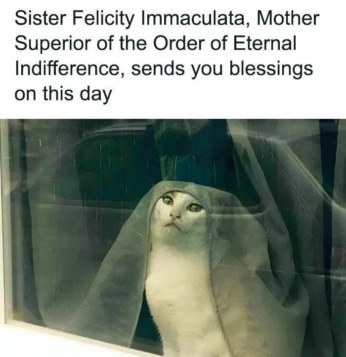 WholesomeMemes tweet media