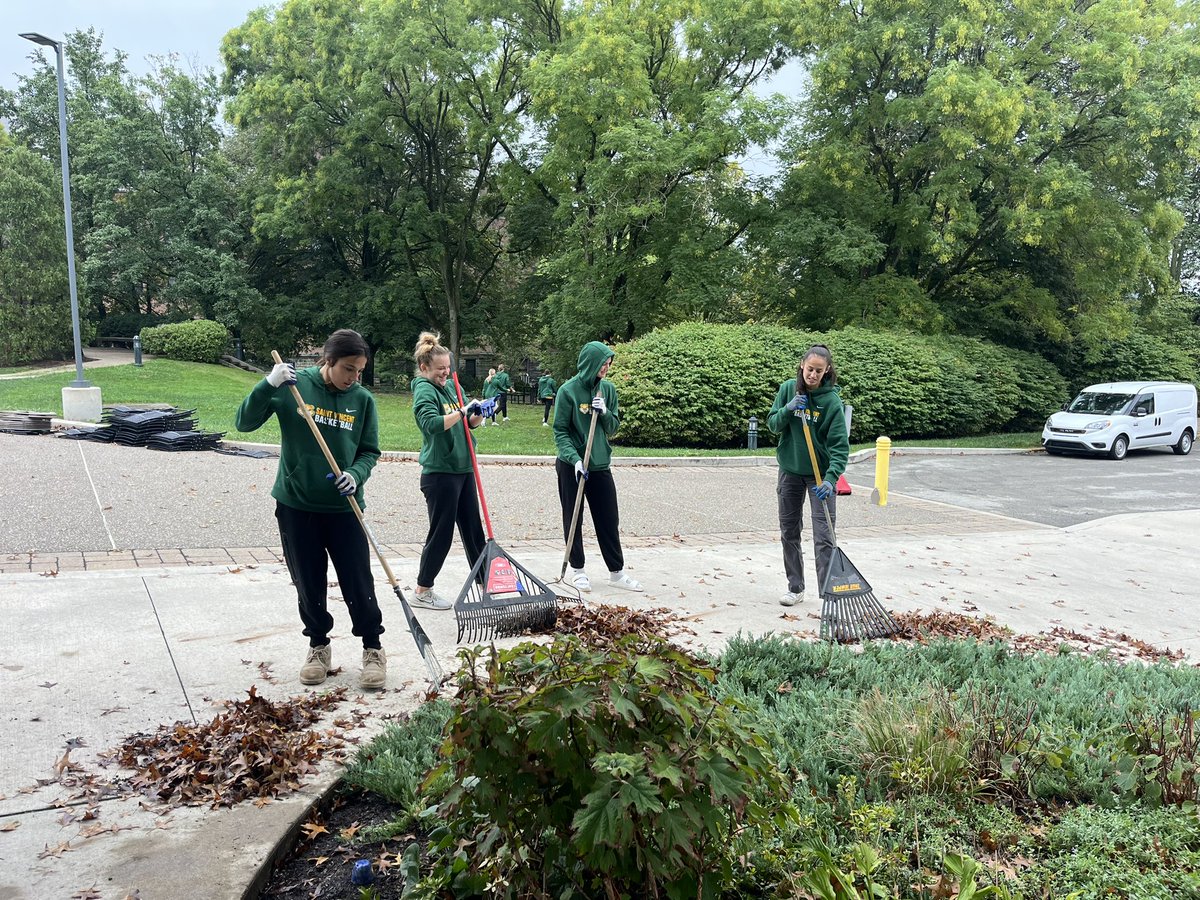 Pulling weeds and raking leaves!! 

We are happy to help clean up campus for Homecoming weekend! 🟢🟡
#GoBearcats