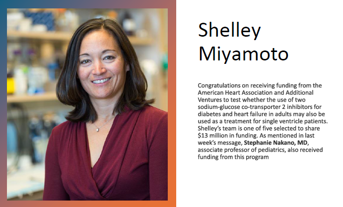 Congratulations to Shelley Miyamoto on receiving funding from AHA and Additional Ventures. Shelley's team is one of five selected to share $13 million in funding! See additional specifics of the funding award below! <a href="/CUDeptMedicine/">CU Department of Medicine</a>