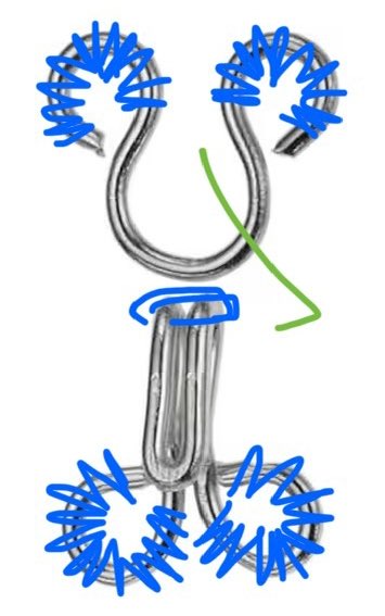 Hanging by a Thread 🧵🪡 tweet media