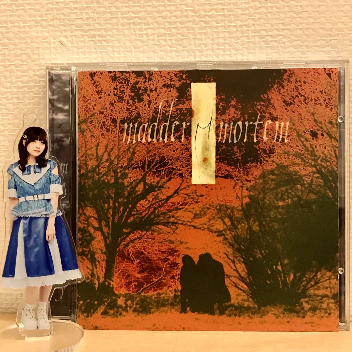 therion_madbias's tweet photo. 無機質でアグレッシヴなギターとプログレ的エッセンス…薄暗いけだるげな雰囲気や優雅さと荒々しさ…デビュー作とは思えない独特の世界観に魅了される！

 #MadderMortem…Mercury
https://t.co/3pxl4yg5qf https://t.co/BCwMPToSyW