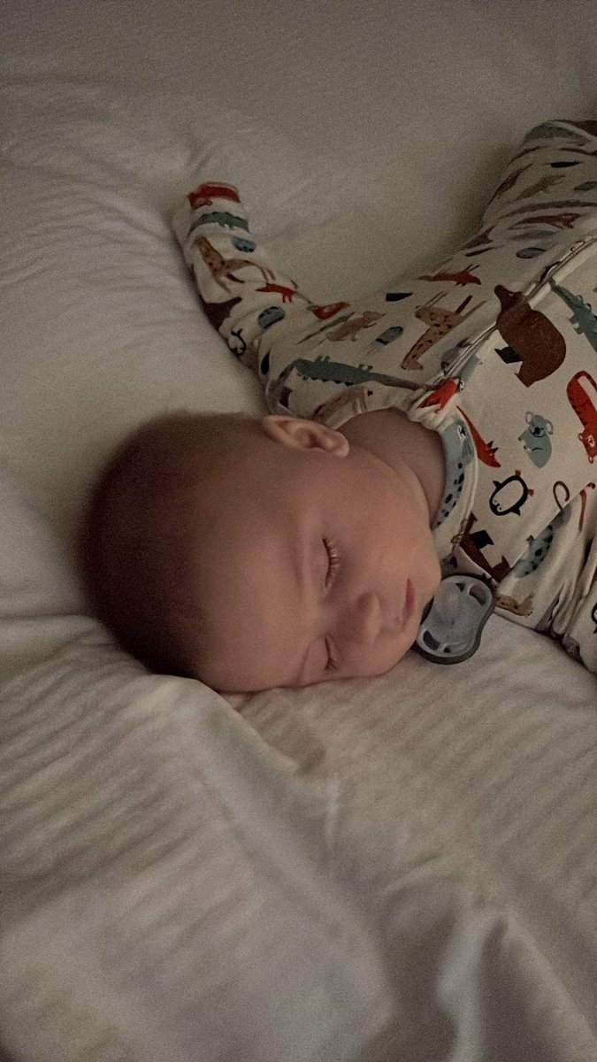 “NaP wHeN hE nApS”

This is apparently his bed now.