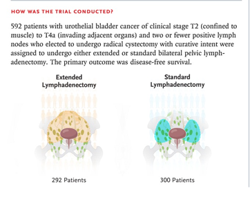 Neeraj Agarwal, MD, FASCO (@neerajaiims) on Twitter photo Just in <a href="/NEJM/">NEJM</a> 👉the primary results of ph3 <a href="/SWOG/">SWOG Cancer Research Network</a> 1011 trial (n=592)👉in pts with muscle-invasive #bladdercancer undergoing radical cystectomy👉standard lymphadenectomy is sufficient (extended lymphadenectomy did not improve survival outcomes)👇Link: tinyurl.com/bdh4z5n7 Just in <a href="/NEJM/">NEJM</a> 👉the primary results of ph3 <a href="/SWOG/">SWOG Cancer Research Network</a> 1011 trial (n=592)👉in pts with muscle-invasive #bladdercancer undergoing radical cystectomy👉standard lymphadenectomy is sufficient (extended lymphadenectomy did not improve survival outcomes)👇Link: tinyurl.com/bdh4z5n7