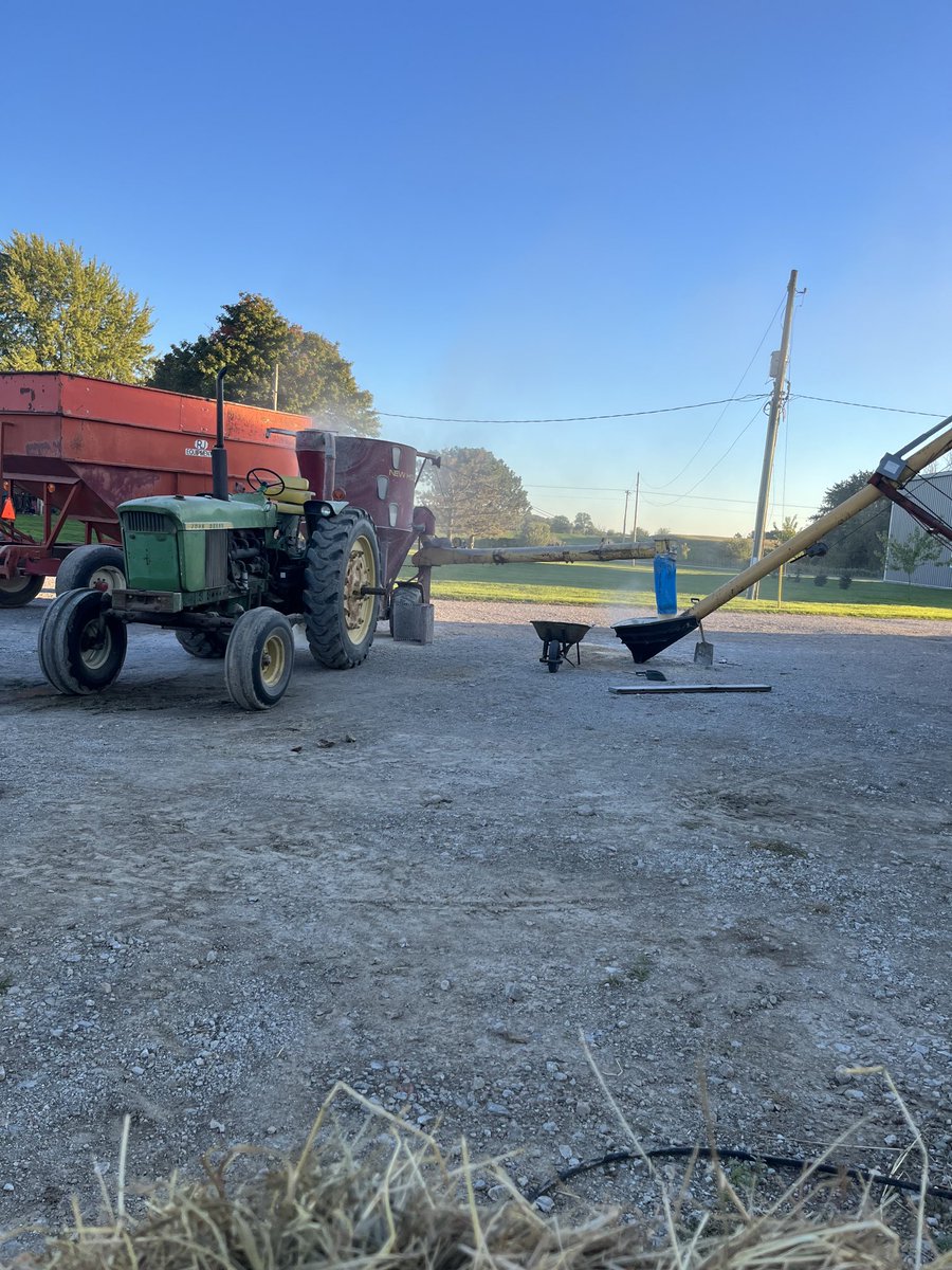 Corn’s cheap, might as well keep some calves for winter again