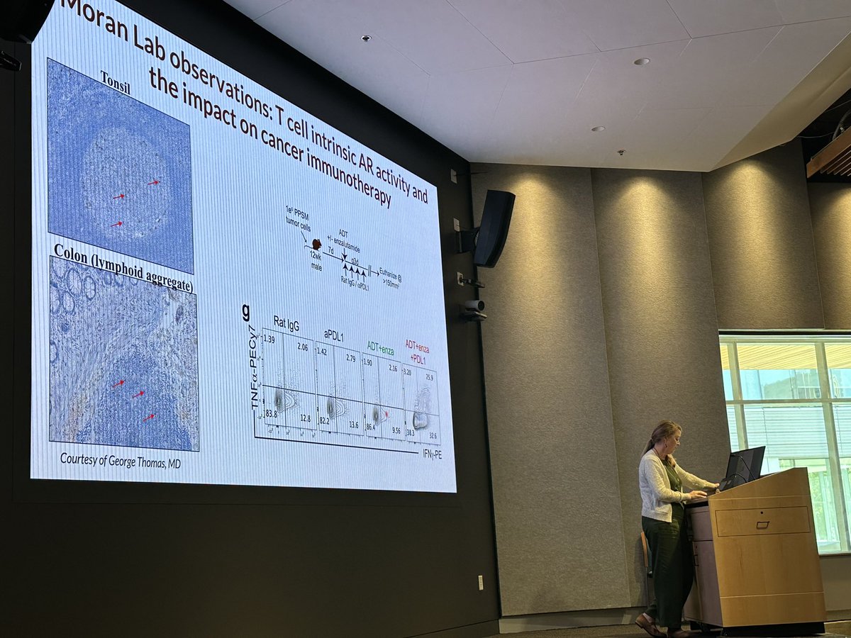Dr Shannon McWeeney 🇺🇦 is on BlueSky & Mastodon tweet media