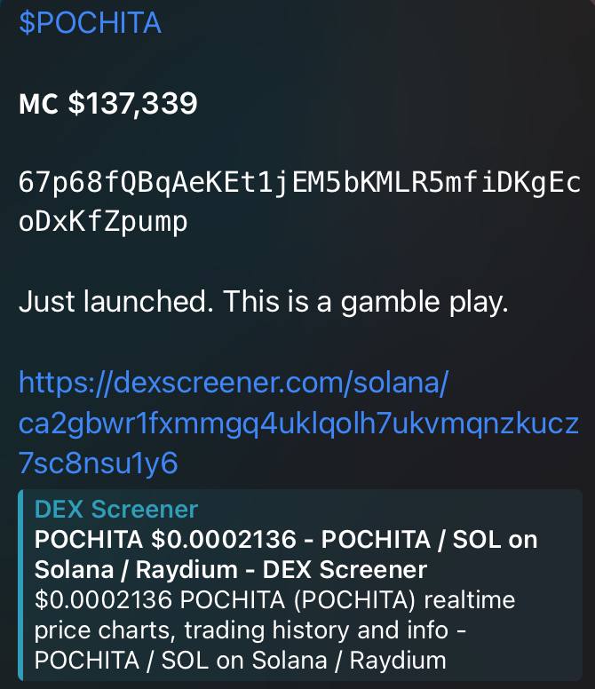 mrChadegen's tweet photo. Another Day of Dubs after all the PvP devs. We still gonna printtttt 😈

Outperforming your favourite KOLs

#POCHITA (ETH) 262k mc => 16.3M ATH (62x)
#POCHITA (SOL) 551k mc => 27.7M ATH (50x)
#POCHITA (SOL) 137k mc => 2.2M ATH (16.6x)

Did you print today anon? https://t.co/Wt8aR4Ep5r
