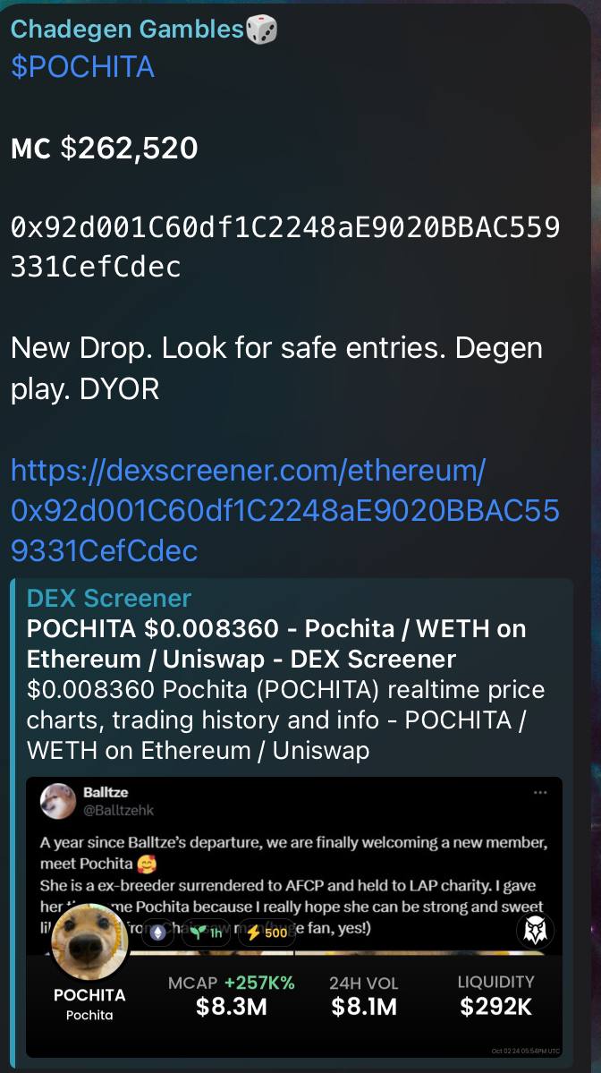 mrChadegen's tweet photo. Another Day of Dubs after all the PvP devs. We still gonna printtttt 😈

Outperforming your favourite KOLs

#POCHITA (ETH) 262k mc => 16.3M ATH (62x)
#POCHITA (SOL) 551k mc => 27.7M ATH (50x)
#POCHITA (SOL) 137k mc => 2.2M ATH (16.6x)

Did you print today anon? https://t.co/Wt8aR4Ep5r