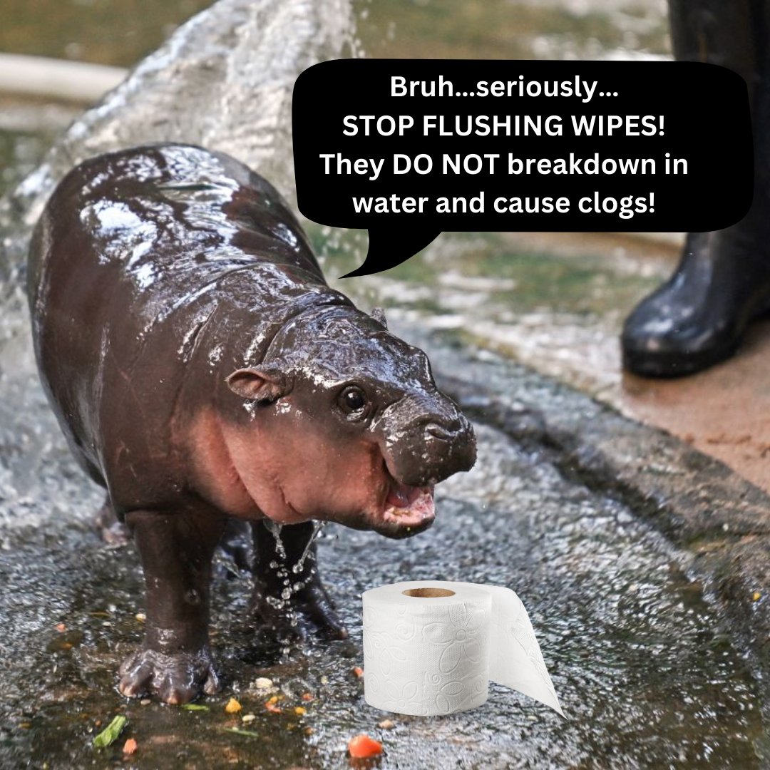 Did you know that Moo Deng doesn’t use wipes? That’s right, she only uses regular ol' toilet paper. 
Wipes do not break down in water. Instead, they build up in pipes and can lead to costly repairs. If you’re going to use wipes, please throw them in the trash. DO NOT FLUSH WIPES!