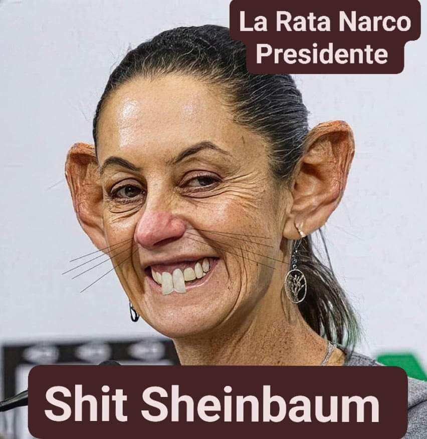 LZamora19492784's tweet photo. @Claudiashein Esta Shit Sheinbaum 
NO me representa 
Ni como mujer 
Ni como líder 
Ni como presidente https://t.co/sKZe3uQm1X