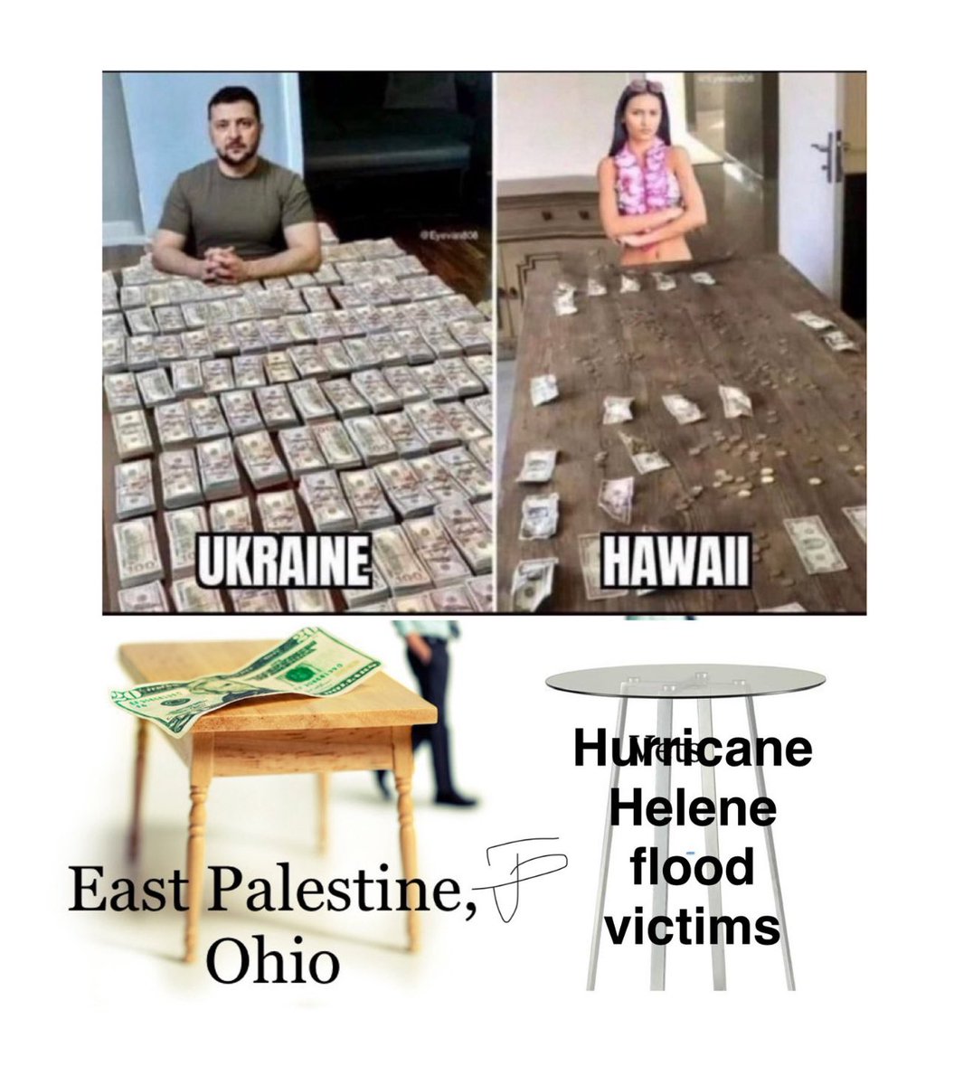 MAGA Voice tweet media