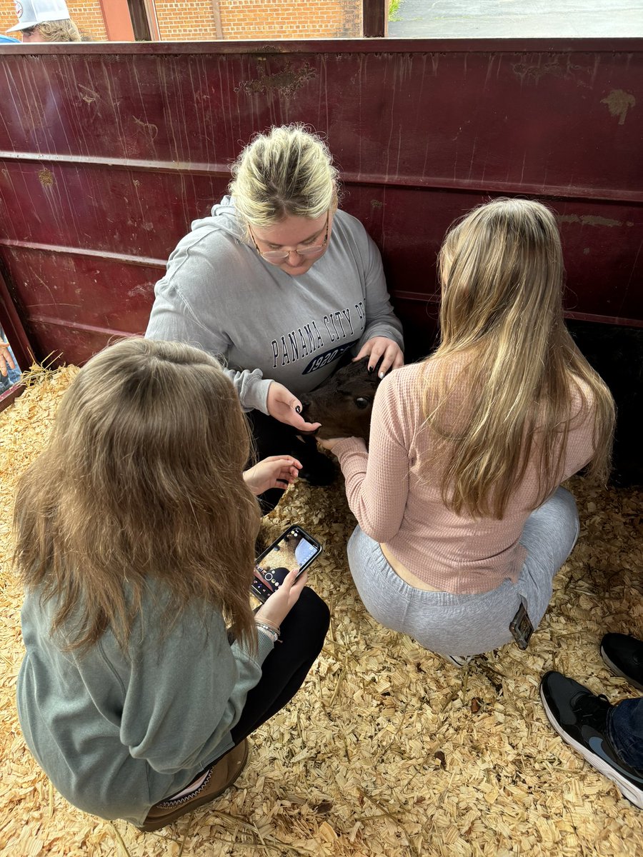 Week 2 back from maternity leave and if I can’t be with my baby, at least I can love on this one!!

Shoutout to our Assistant Principal, Mr. Crepps for bringing in a freemartin calf for our Animal Science students this week.