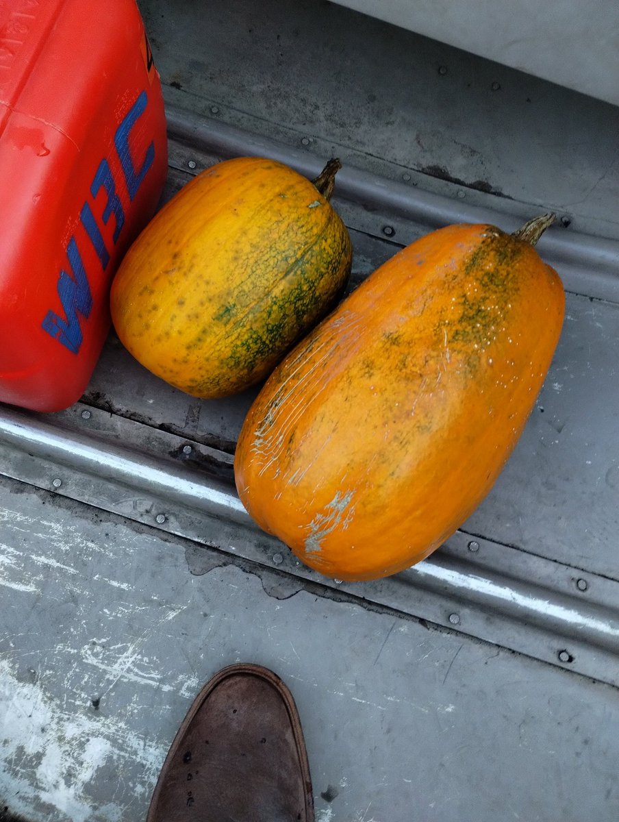 milewskirowing's tweet photo. Never know what you'll find floating in the Detroit River. https://t.co/Bds5HxlPOU