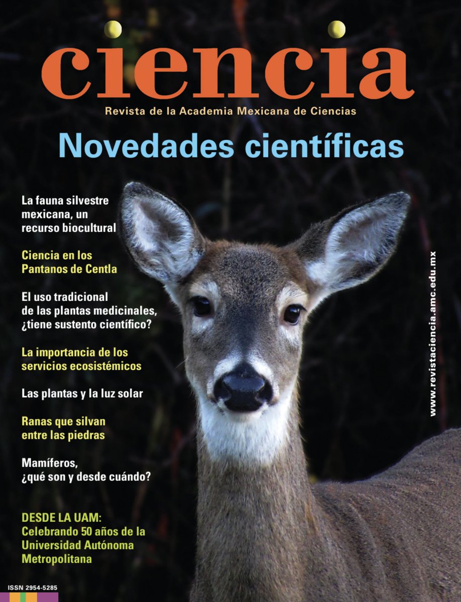 lauammx's tweet photo. #LaUAMenLosMedios Te invitamos a consultar la revista CIENCIA, de la Academia Mexicana de Ciencias, que incluye colaboraciones de profesoras y profesores, quienes abordan el 50 aniversario de la UAM.
.
📣 Revista CIENCIA: https://t.co/bpXToyKQi9
.
#SoyUAM #UAM50 #CienciaUAM https://t.co/Yyd9zUziSo