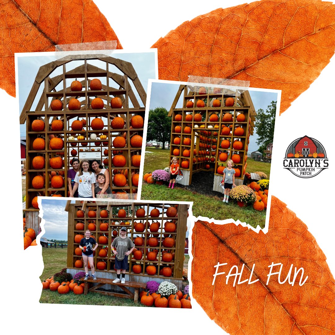 🍁 𝑭𝒂𝒎𝒊𝒍𝒚. 𝑭𝒂𝒍𝒍. 𝑭𝒖𝒏. 
Hayrides, Pumpkin Patch, Mini Golf, Carousel, Games, Rides, Attractions, Shopping &amp; More! 
Carolyn's is your FALL headquarters for family fall fun! 
Learn more and plan your day at the Patch at: carolynspumpkinpatch.com 

#pumpkinpatch