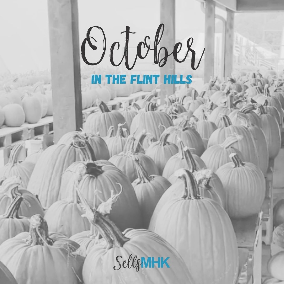 jolenesellsmhk's tweet image. 𝙾𝚞𝚛 𝙾𝚌𝚝𝚘𝚋𝚎𝚛 𝚁𝚎𝚜𝚘𝚞𝚛𝚌𝚎 𝚒𝚜 𝙷𝚎𝚛𝚎! 🎃 🍂

Click through to find out about the 3 pumpkin patches in our area and fall festivals &amp;amp; events coming up these next 3 weekends!

bit.ly/octoberinthefl…

#octoberresource #pumpkinpatches #fallfestivals #trickortreating