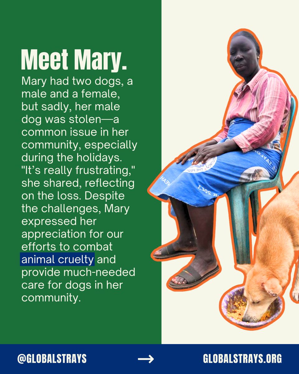 GlobalStrays's tweet image. This summer, our partner @liberiaanimalwelfare visited homes in various communities to spread the word about animal welfare. We're so inspired by the change happening! 

#globalstrays #animalwelfare #liberiaanimalwelfare #liberiaafrica