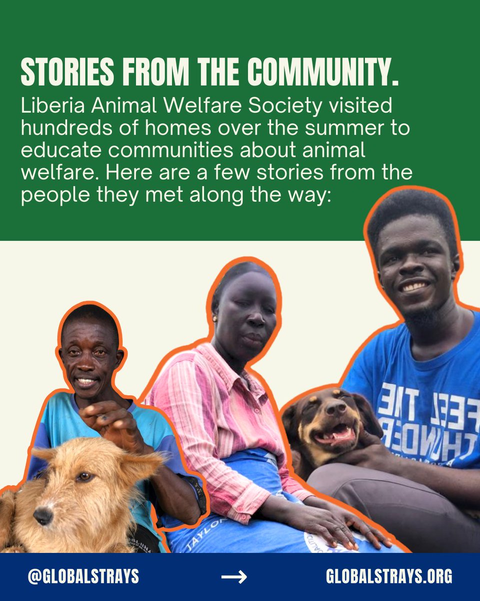 GlobalStrays's tweet image. This summer, our partner @liberiaanimalwelfare visited homes in various communities to spread the word about animal welfare. We're so inspired by the change happening! 

#globalstrays #animalwelfare #liberiaanimalwelfare #liberiaafrica