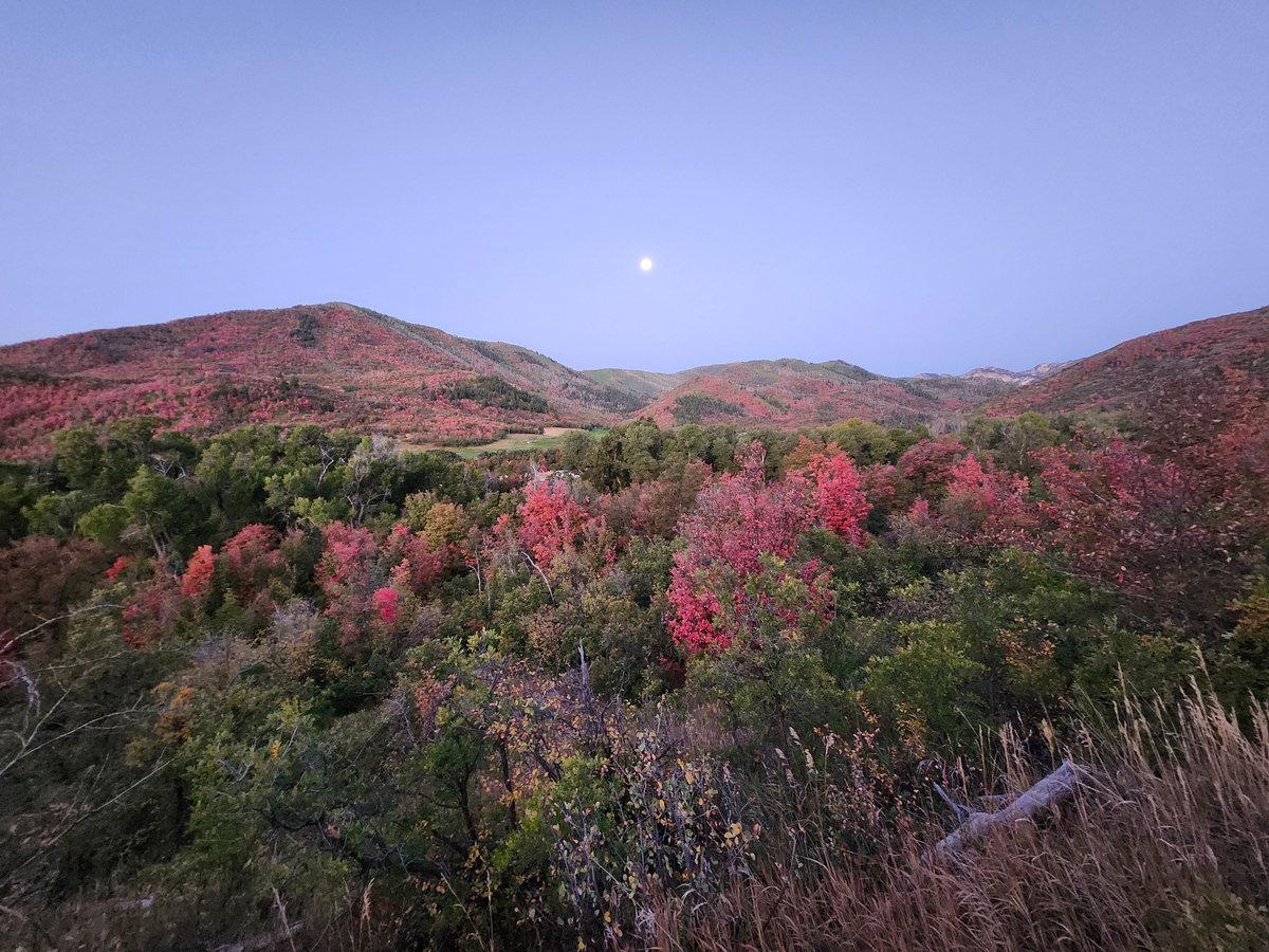 🍂 Fall is Here! 🍂

From moonlit hikes to spooky adventures, Utah State Parks are packed with events for everyone! With vibrant leaves on full display and a chill starting to creep into the air, it’s the perfect time to get outside and explore.

🍁stateparks.utah.gov/2024/09/11/bes…