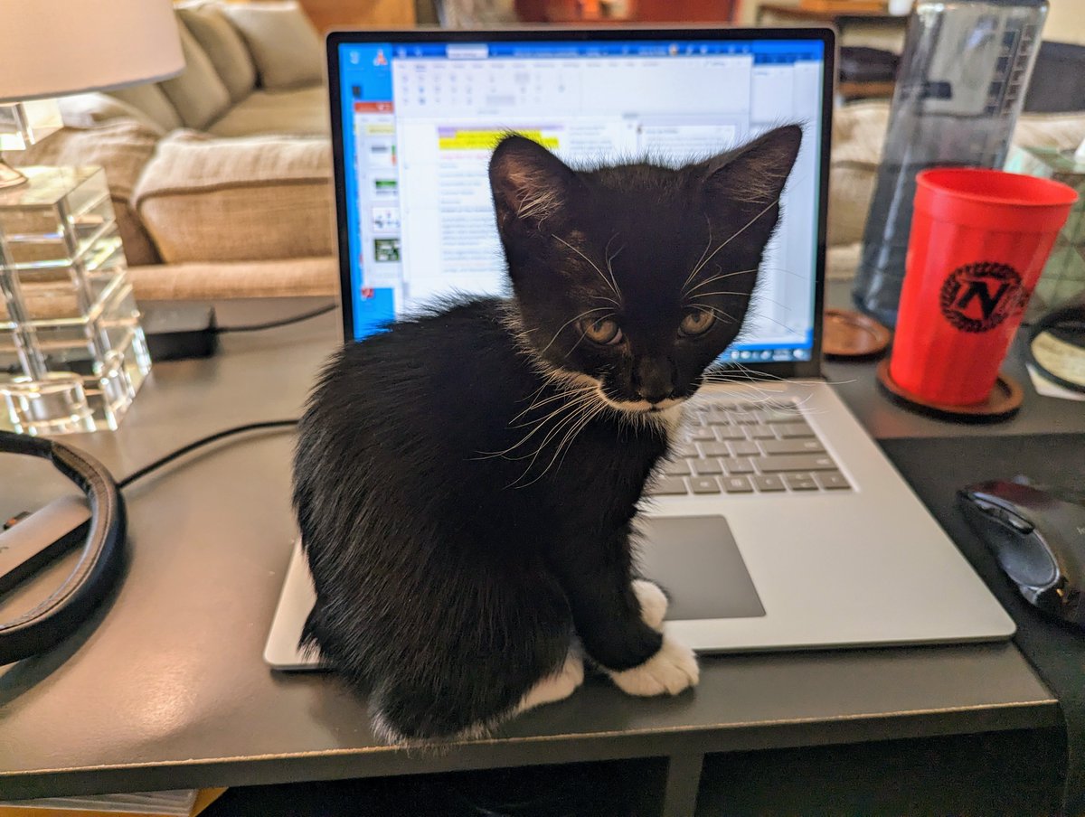 NW Editors Guild (Find us on other socials) tweet media